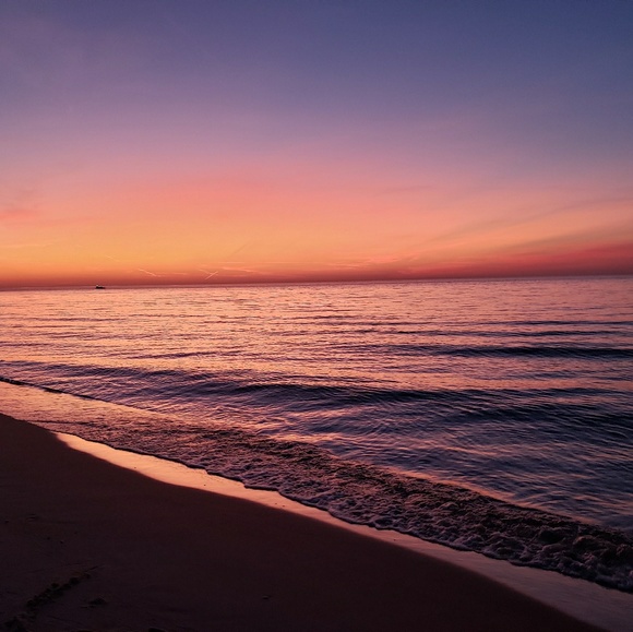 Meet your Posher, Adeline - Picture 1 of 1